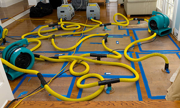 Professional Crawl Space Water Removal technician working in Covington, LA